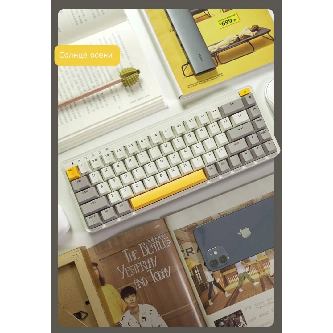 Механическая клавиатура Xiaomi MIIIW ART 68 AUTUMN SUN