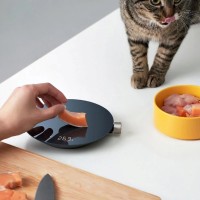 Умные кухонные весы Xiaomi Hoto Smart Kitchen Scale (QWCFC001)