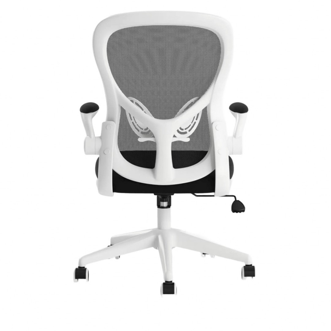 Кресло компьютерное Xiaomi HBADA Ergonomic Double Waist Chair (HDNY163WM)