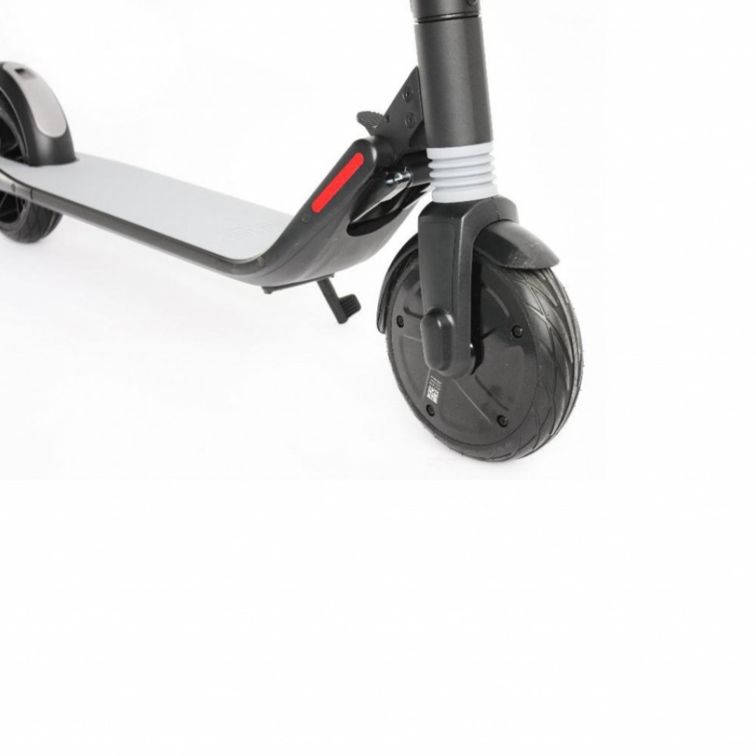Электросамокат Xiaomi Ninebot by Segway KickScooter ES1
