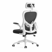 Кресло компьютерное HBADA Ergonomic Double Waist Chair (HDNY163WS)