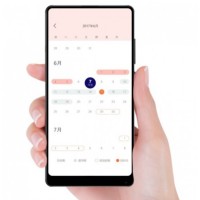 Женский термометр Xiaomi MiaoMiaoce Smart Female Basic Thermometer (MMC-W501)