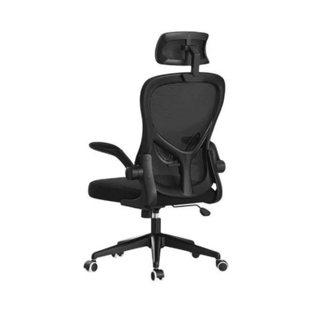 Кресло компьютерное Xiaomi HBADA Ergonomic Double Waist Chair (HDNY163WG)
