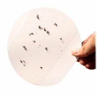 Фумигатор Xiaomi Bcase Square Sticky Trap Mosquito Killer (DSHJ-S-2006)