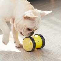 Игрушка для собак Xiaomi Mini Monstar Remote Control Fun Car Dog Toy (XT05-5001)