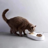 Миска для домашних животных двойная Xiaomi Petkit Fresh Nano (P521)