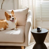 Анализатор качества воздуха Xiaomi Qingping Air Monitor Lite (CGDN1)