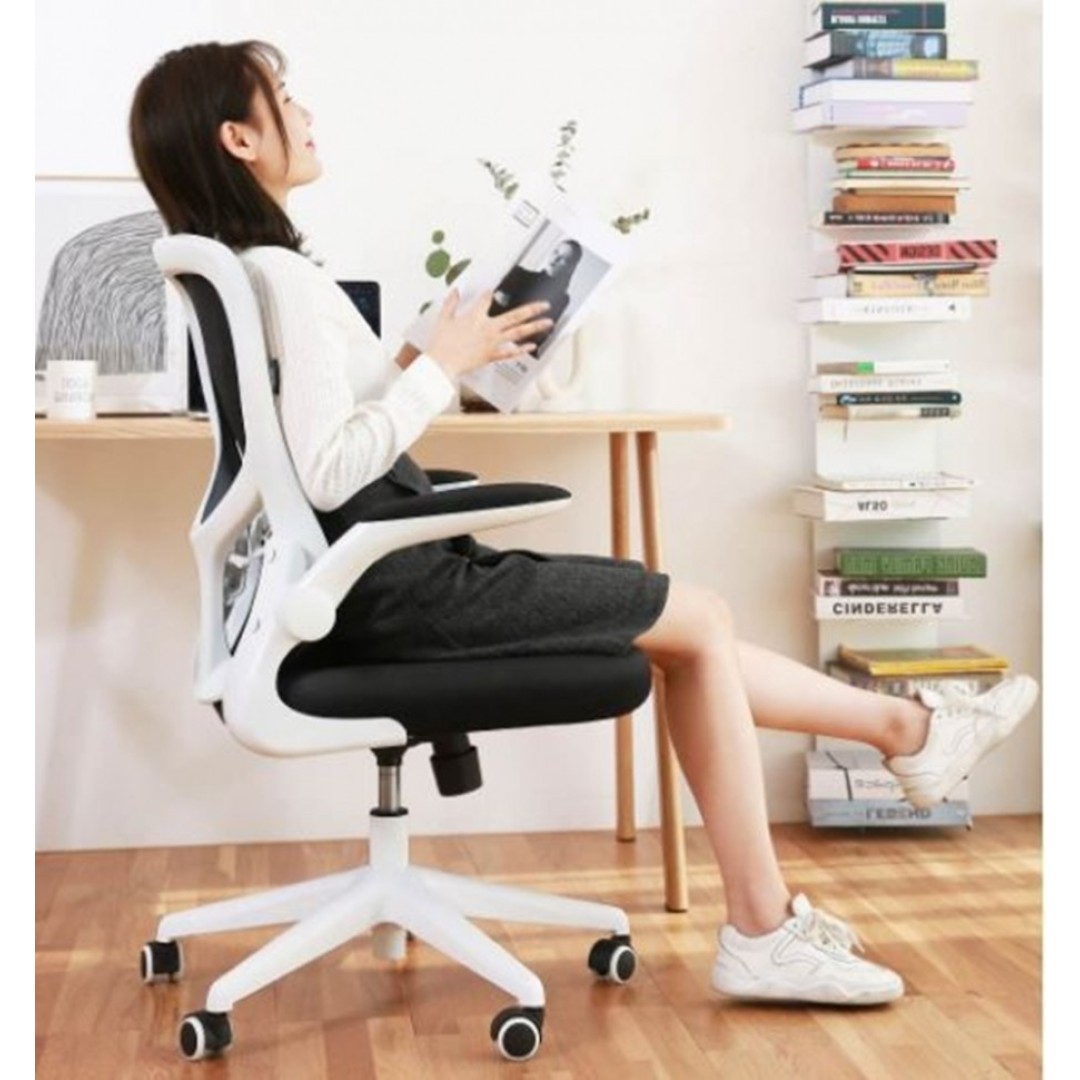 Кресло компьютерное Xiaomi HBADA Ergonomic Double Waist Chair (HDNY163WM)