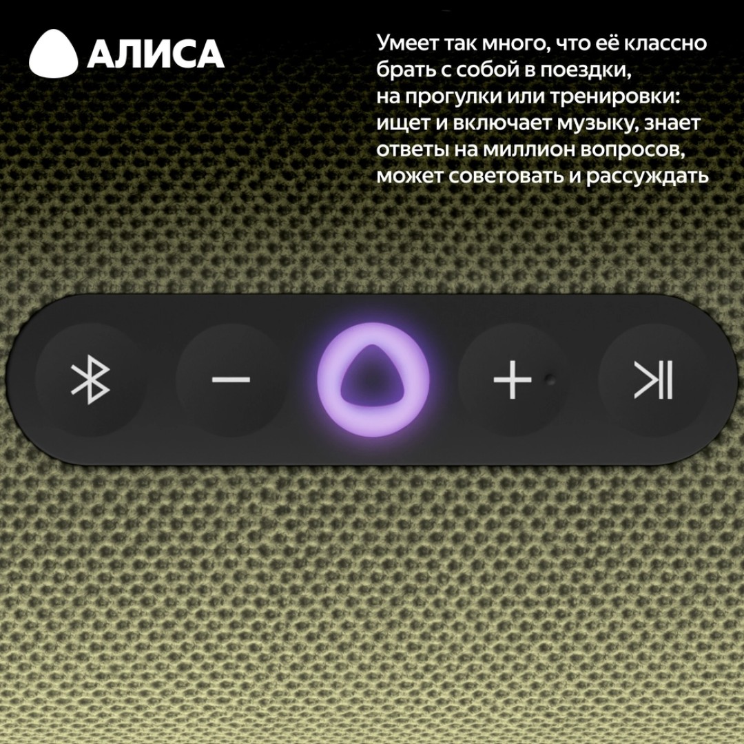 Умная портативная колонка Яндекс Станция Стрит (YNDX-00030GRN)