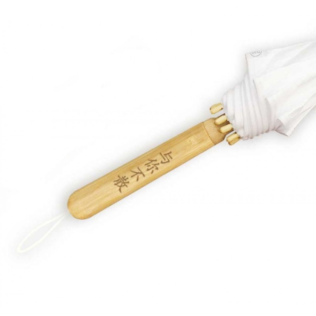 Зонт Xiaomi R2 Umbrella