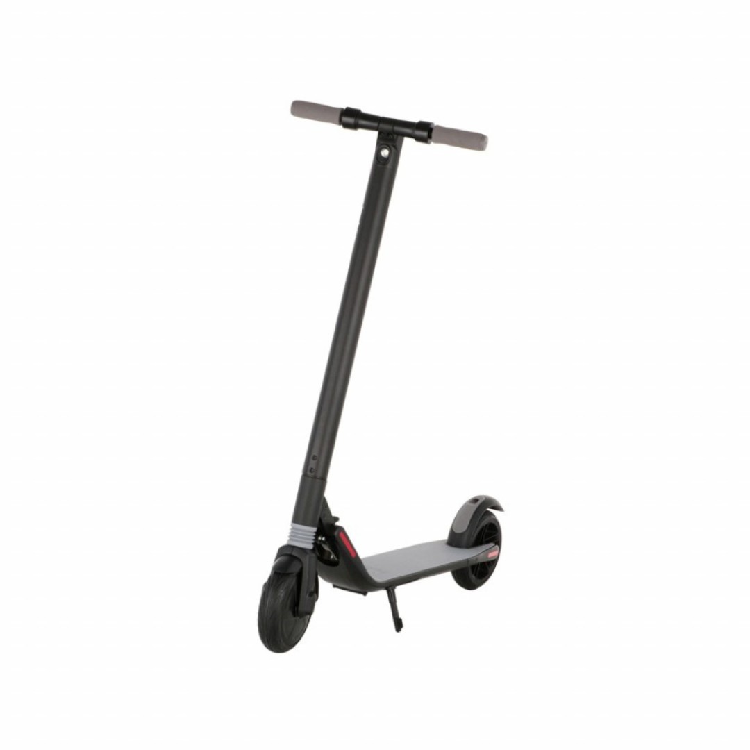 Электросамокат Xiaomi Ninebot by Segway KickScooter ES1
