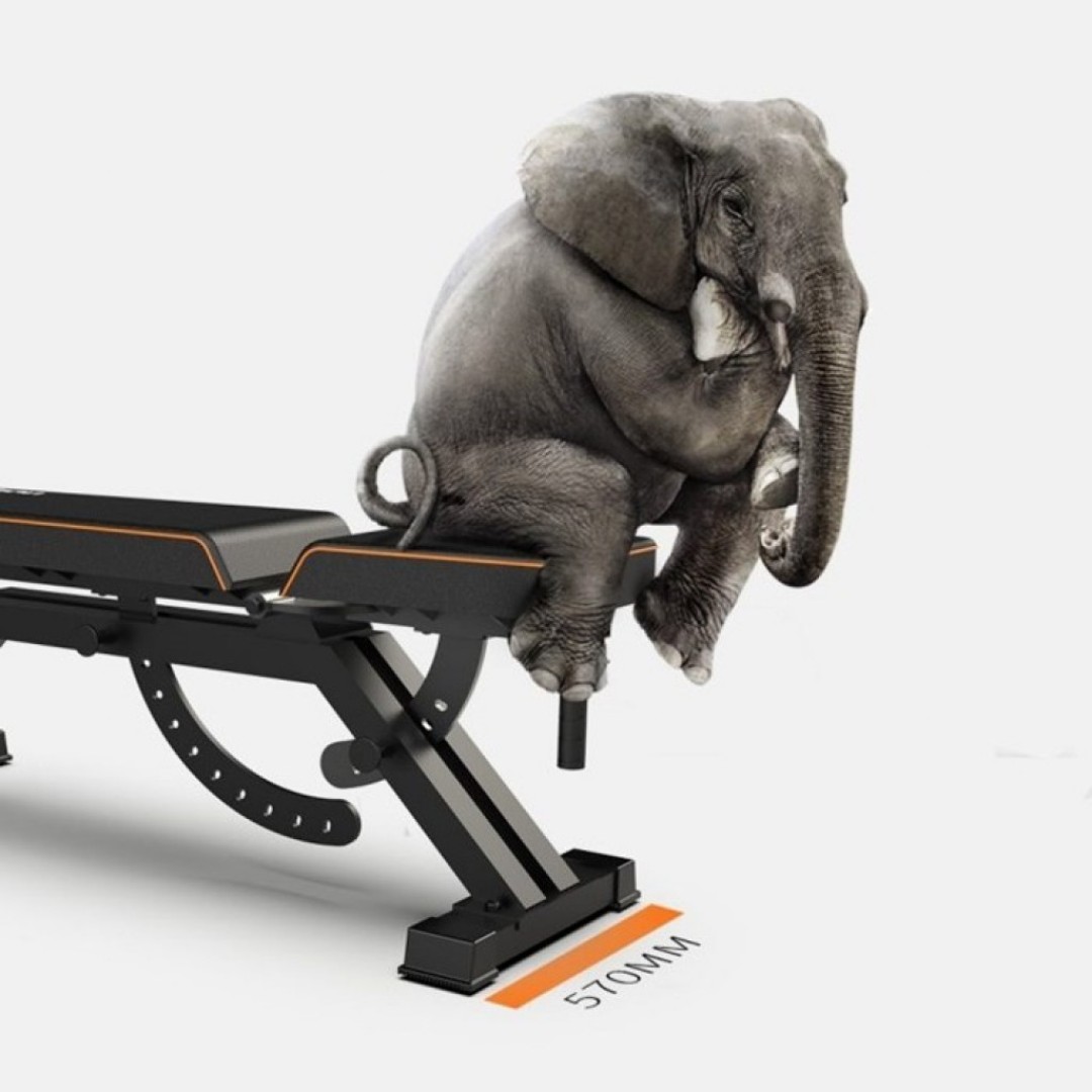 Спортивная скамья Xiaomi Fed Home Multifunctional Fitness Dumbbell Bench (FED-0228)
