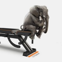 Спортивная скамья Xiaomi Fed Home Multifunctional Fitness Dumbbell Bench (FED-0228)