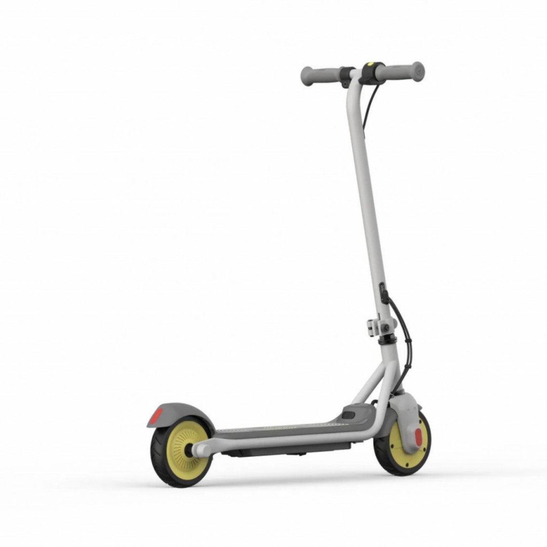 Электросамокат Xiaomi Ninebot KickScooter C10