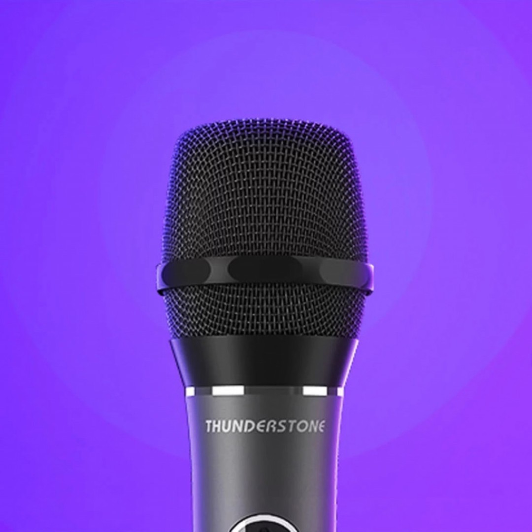 Беспроводной микрофон Xiaomi Ray Stone KTV Bluetooth